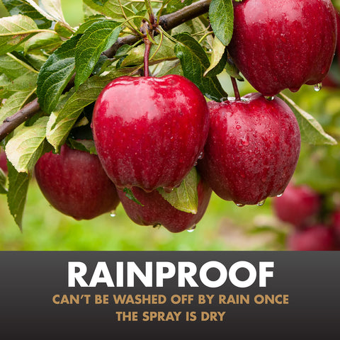 Spectracide Immunox fruits and vegetables image showing safe home garden treatment.