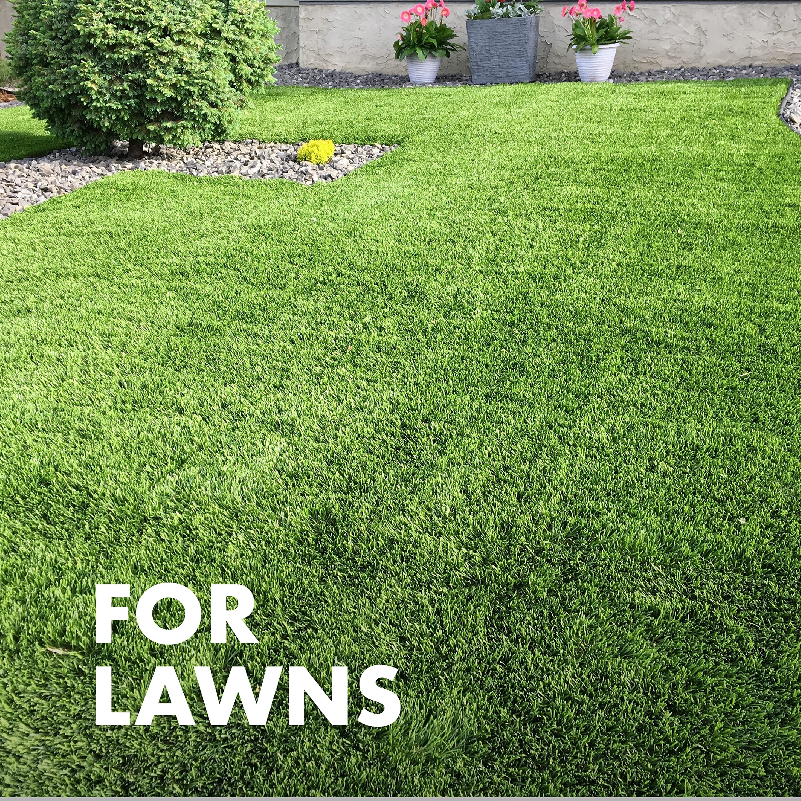 Spectracide Immunox bottle prepared for 2,500 square feet coverage for mid-sized lawns.