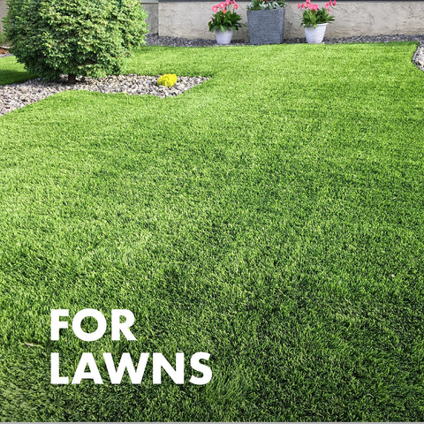Spectracide Immunox bottle prepared for 2,500 square feet coverage for mid-sized lawns.