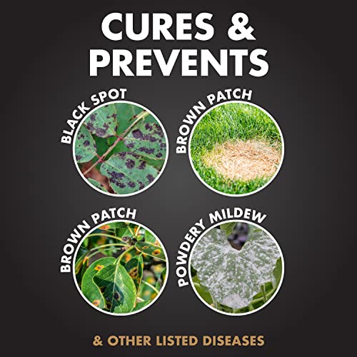 Spectracide Immunox label on bottle highlighting ornamental disease prevention.