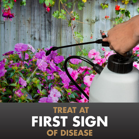 Spectracide Immunox rainproof drying surface concept highlighting durable protection.