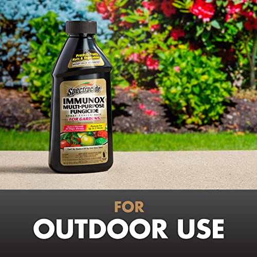 Spectracide Immunox bottle used on roses to prevent common diseases.