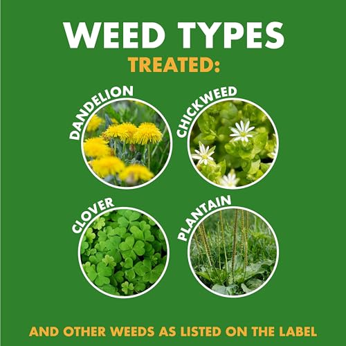 Spectracide Weed and Feed with 20% nitrogen nourishes the lawn as it works.