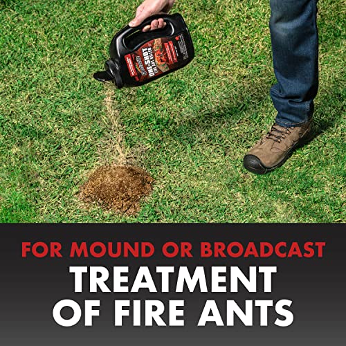 Granular bait on turf attracting foraging ants for colony impact
