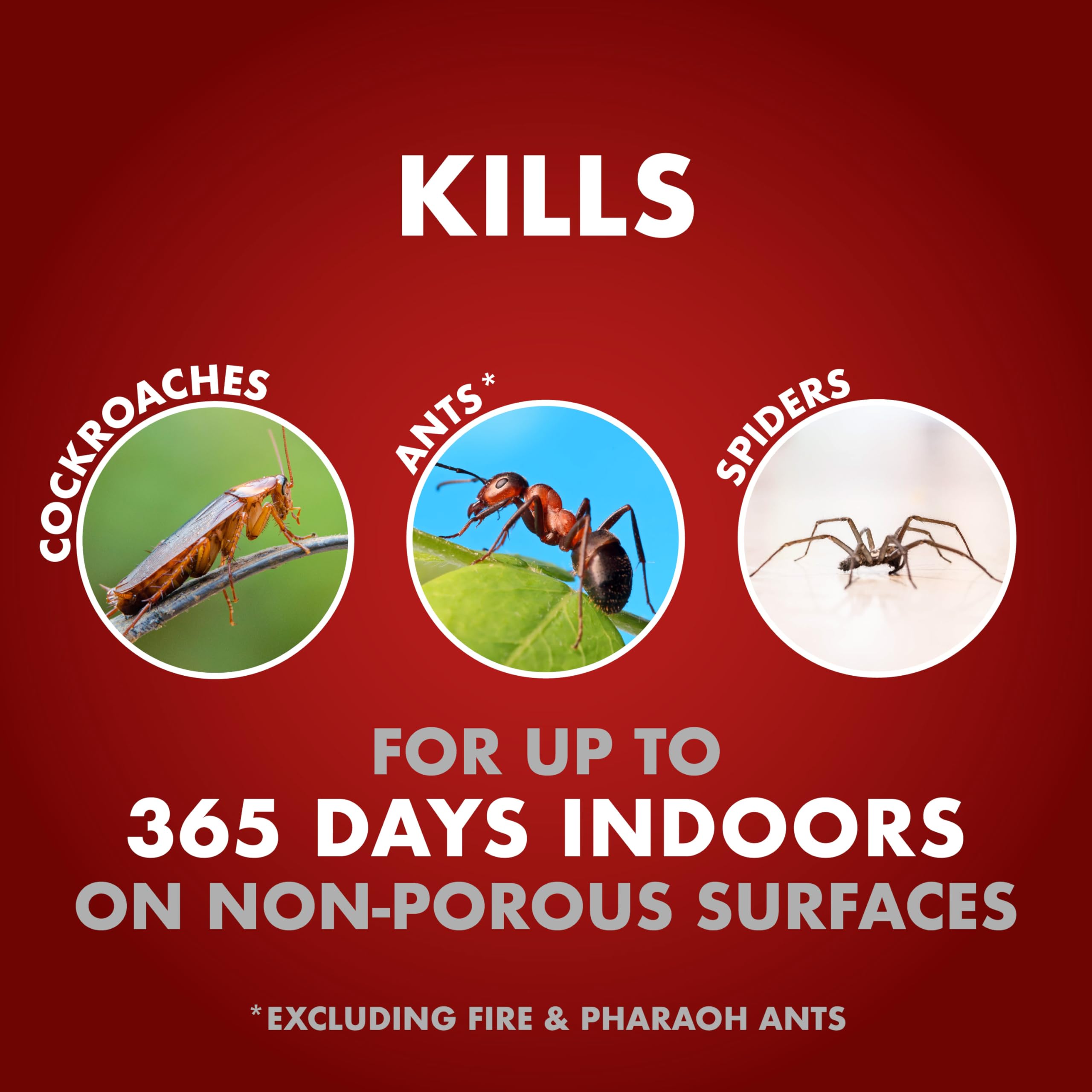 Spectracide One-Shot targets cockroaches, ants, and spiders on contact