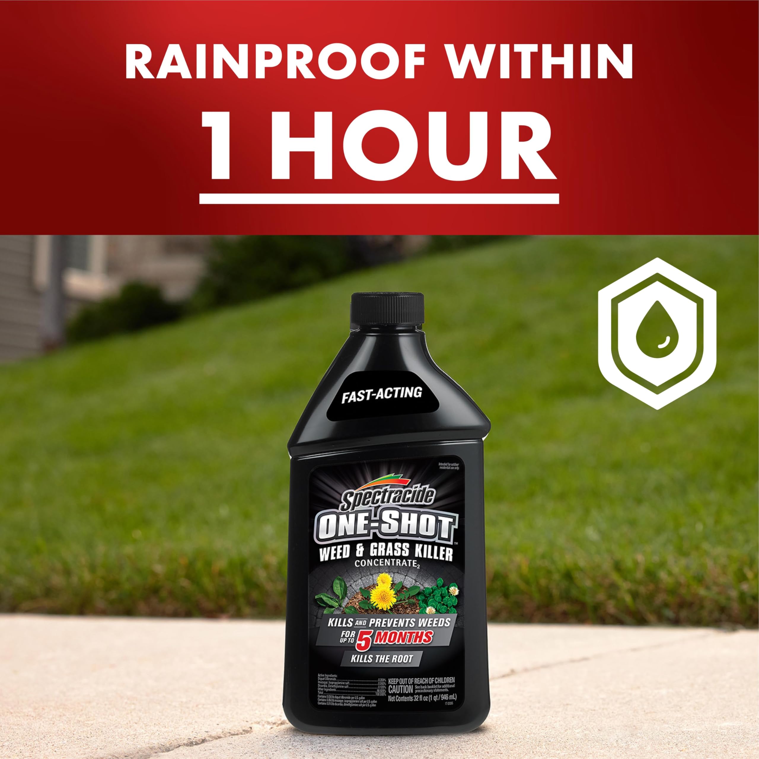 Spectracide One-Shot kills weeds down to the root for lasting effect.