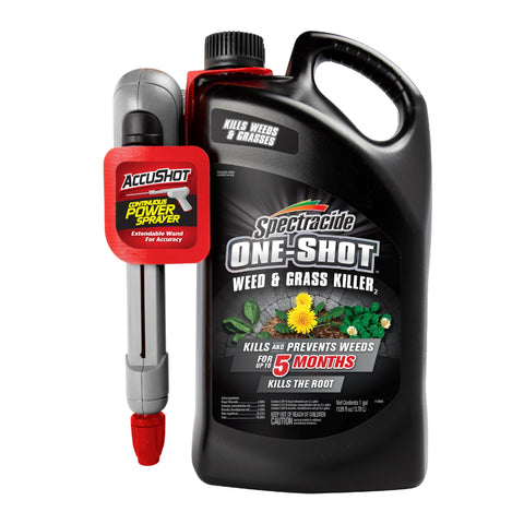 Spectracide One-Shot with AccuShot on a walkway shows fast weed control