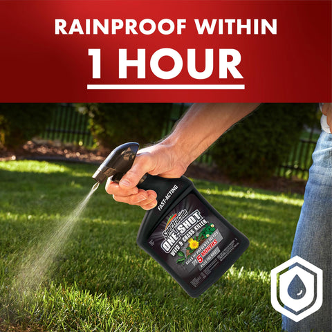 Spectracide One-Shot Weed Killer is rain-proof within one hour after application.