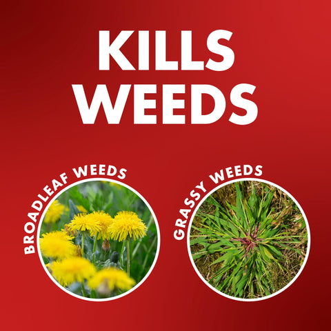 Spectracide One-Shot Weed Killer applied along a clean walkway to clear weeds.