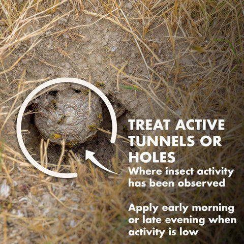 Plug the entrance hole after 48 hours to help prevent reinfestation.