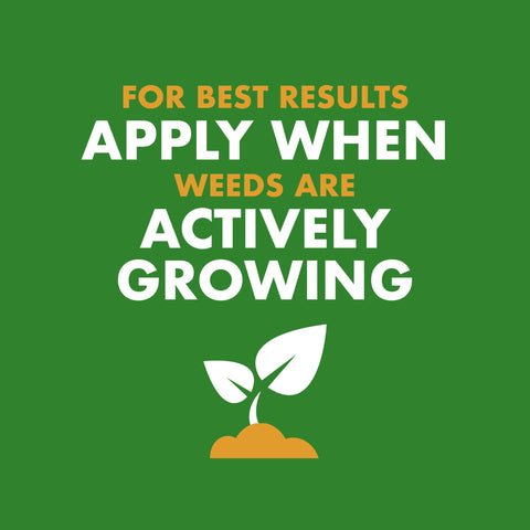 Spectracide spray covers purslane and mallow among common weeds.