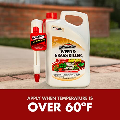 Spectracide rainfast in 15 minutes keeps treatment effective after rain.