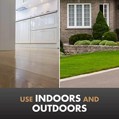 Spectracide Terminate carpenter ant killer protects indoor woodwork from infestation.