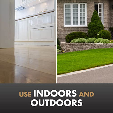 Spectracide Terminate carpenter ant killer protects indoor woodwork from infestation.