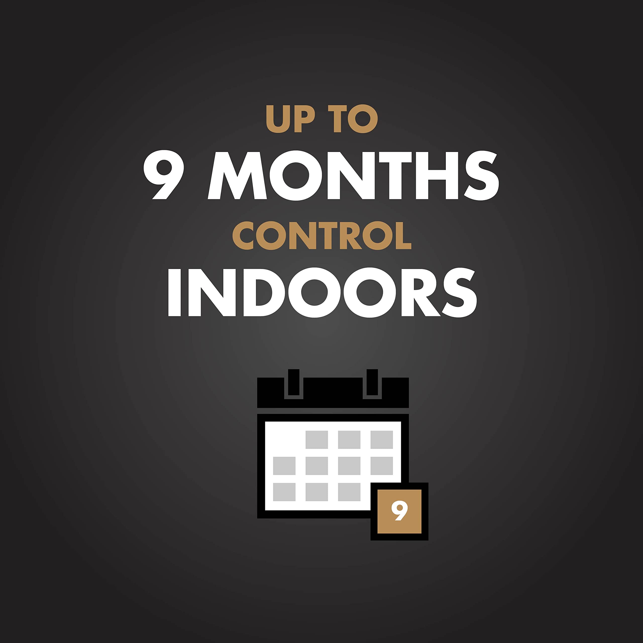 Spectracide Terminate indoor-outdoor application covers baseboards, cracks, and crevices.