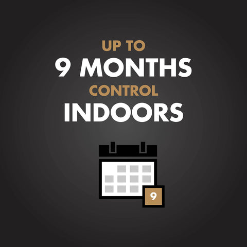 Spectracide Terminate indoor-outdoor application covers baseboards, cracks, and crevices.
