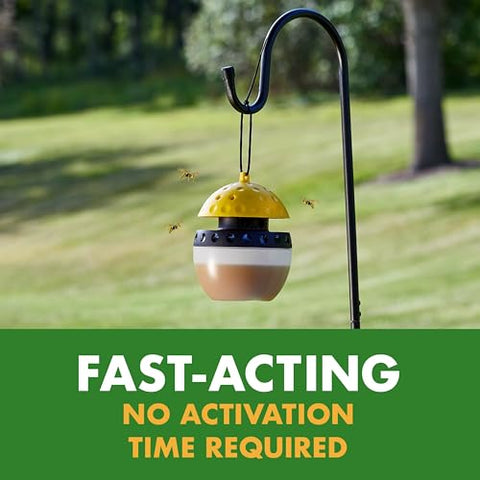 Spectracide Wasp Trap in sunny, sheltered outdoor spot away from children