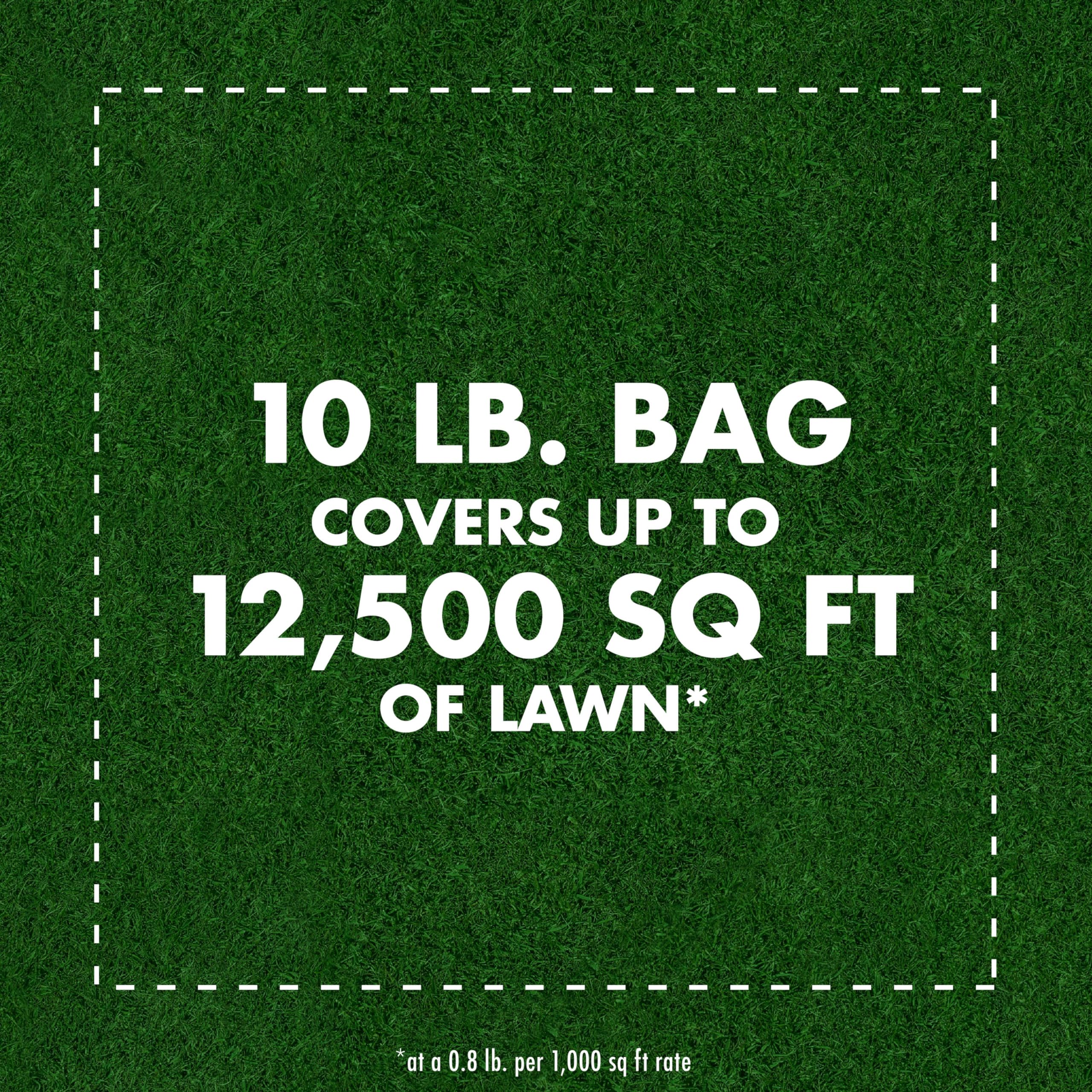 Crickets on a lawn treated with Spectracide Triazicide granules