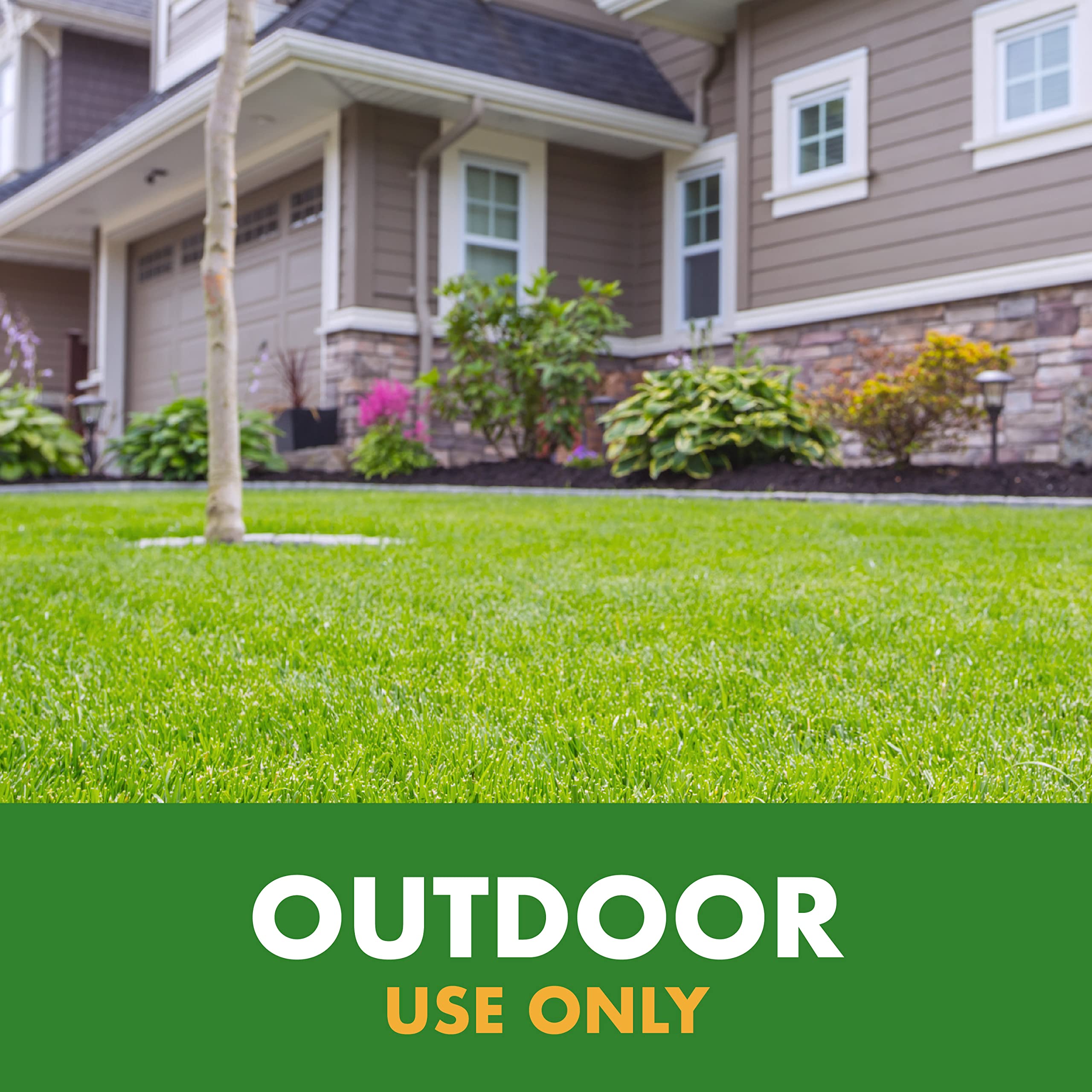 Spectracide Wasp & Hornet Killer non-staining formula on most siding.