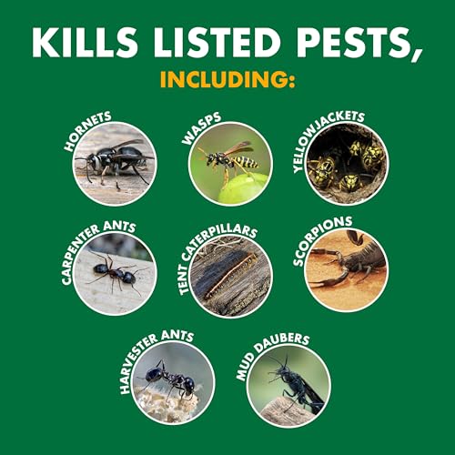 Spectracide Wasp & Hornet Killer on-contact formula kills pests on contact.