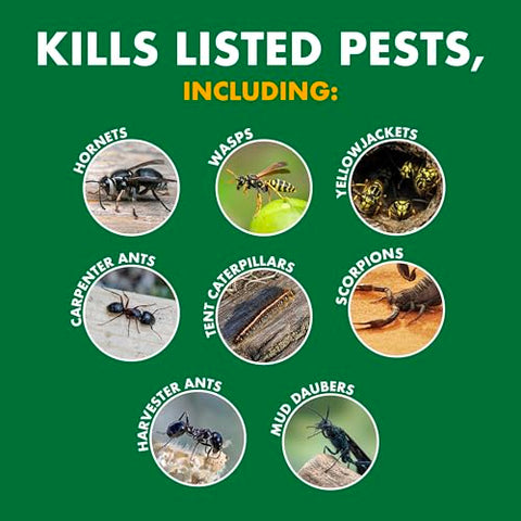 Spectracide Wasp & Hornet Killer on-contact formula kills pests on contact.