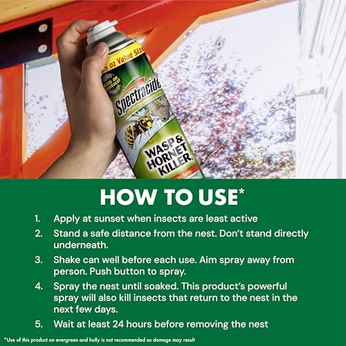 Spectracide Wasp & Hornet Killer outdoor use only for safe application.