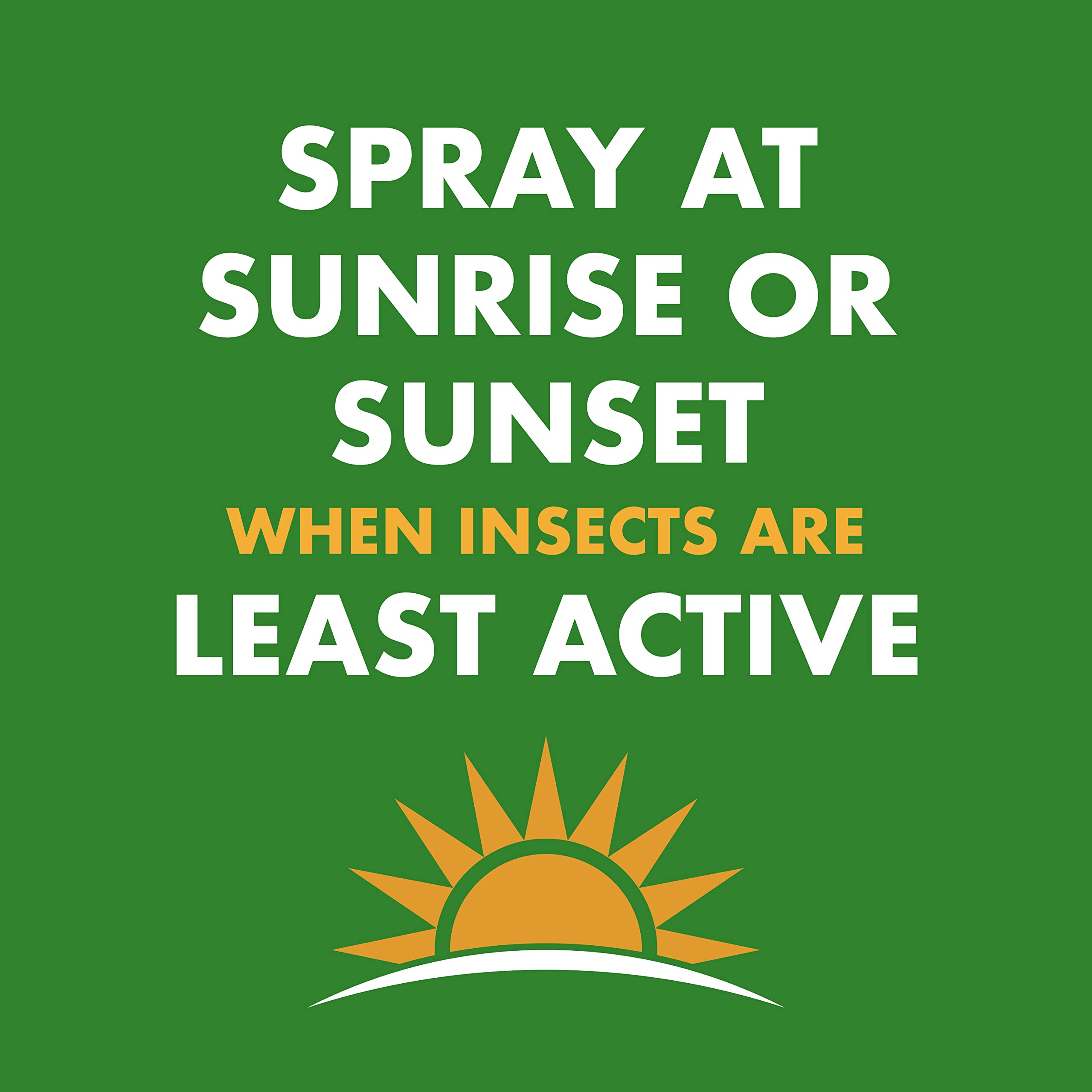 Spectracide Wasp & Hornet Killer sunrise-sunset application when insects least active.