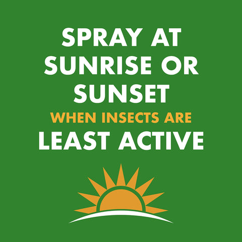 Spectracide Wasp & Hornet Killer sunrise-sunset application when insects least active.