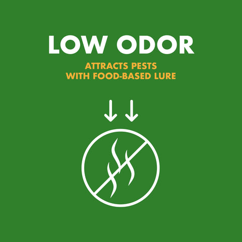 Lure refill designed for outdoor use in gardens and patios