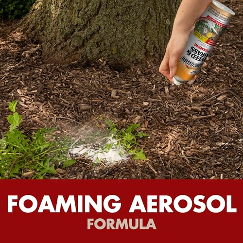 Foaming spray around a driveway edge showing even coverage.