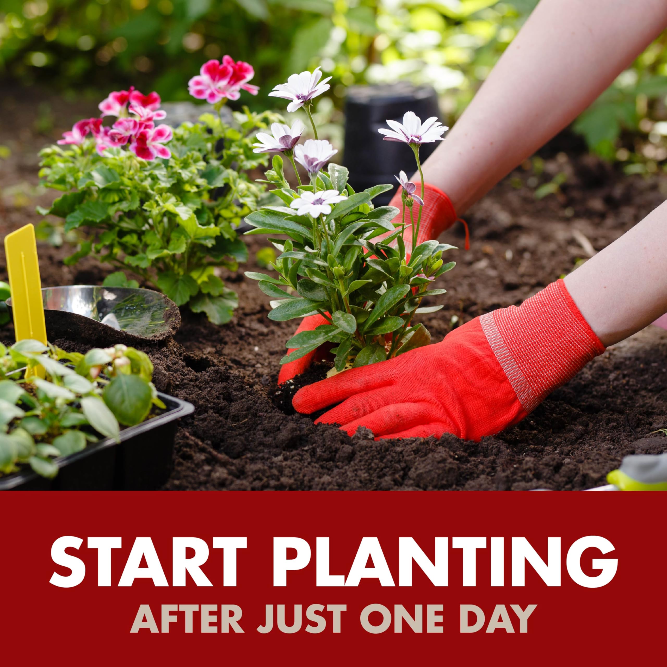 Rainproof formulation remains effective after light rainfall.