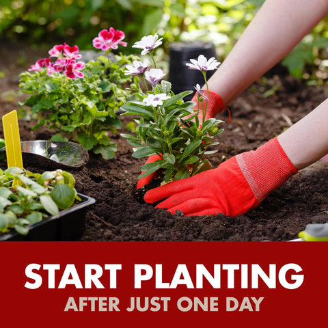 Spectracide Weed Killer Concentrate used near desirable plants with precautions