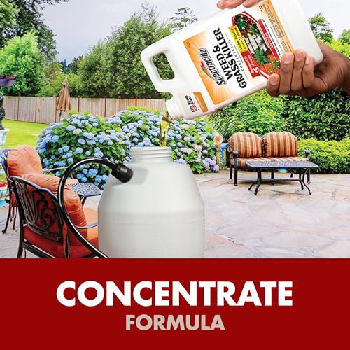Spectracide Weed Killer Concentrate spot-treatment on a crack-filled walkway