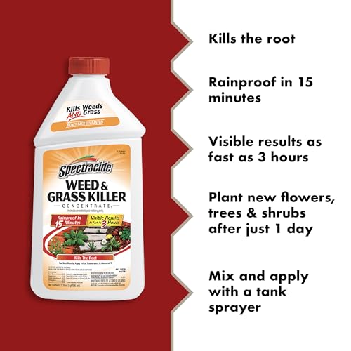 Spectracide Weed & Grass Killer Concentrate labeled bottle with measurement cap for precise mixing.
