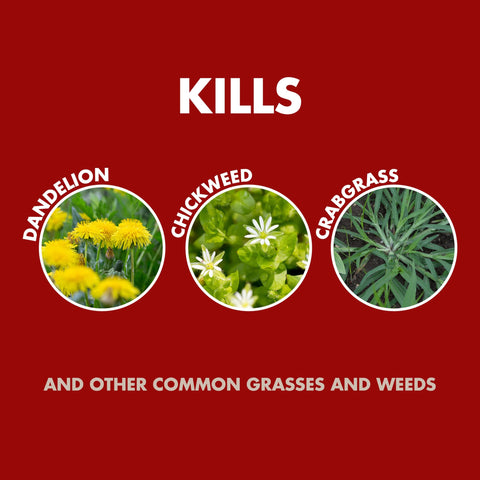 Spectracide Weed Killer concentrate used around plants near a driveway