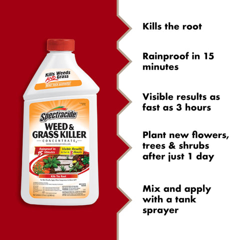 Spectracide Weed Killer concentrate being sprayed on a walkway