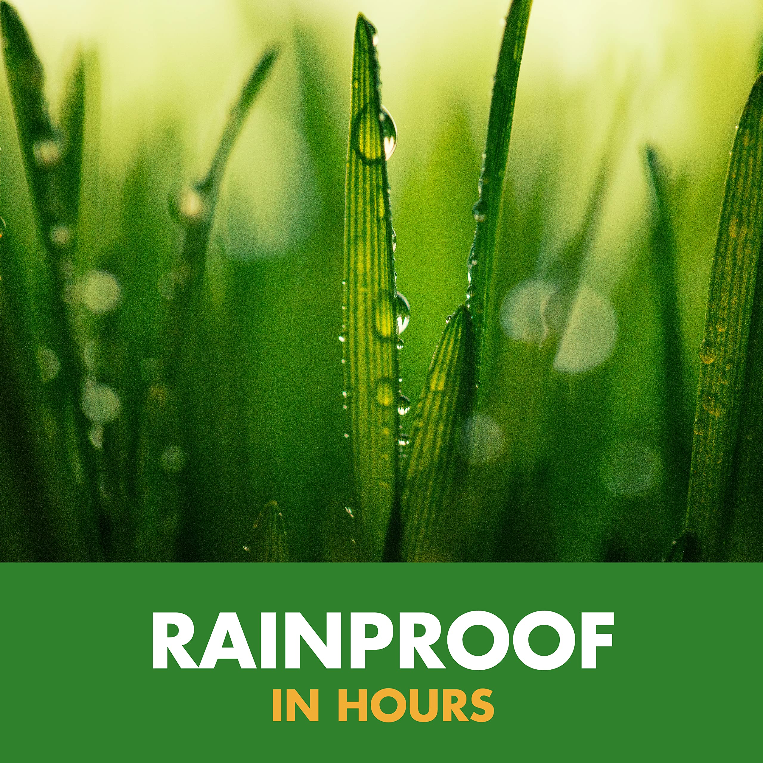 Spectracide Weed Stop for Lawns fall treatments reduce next year's weed pressures.