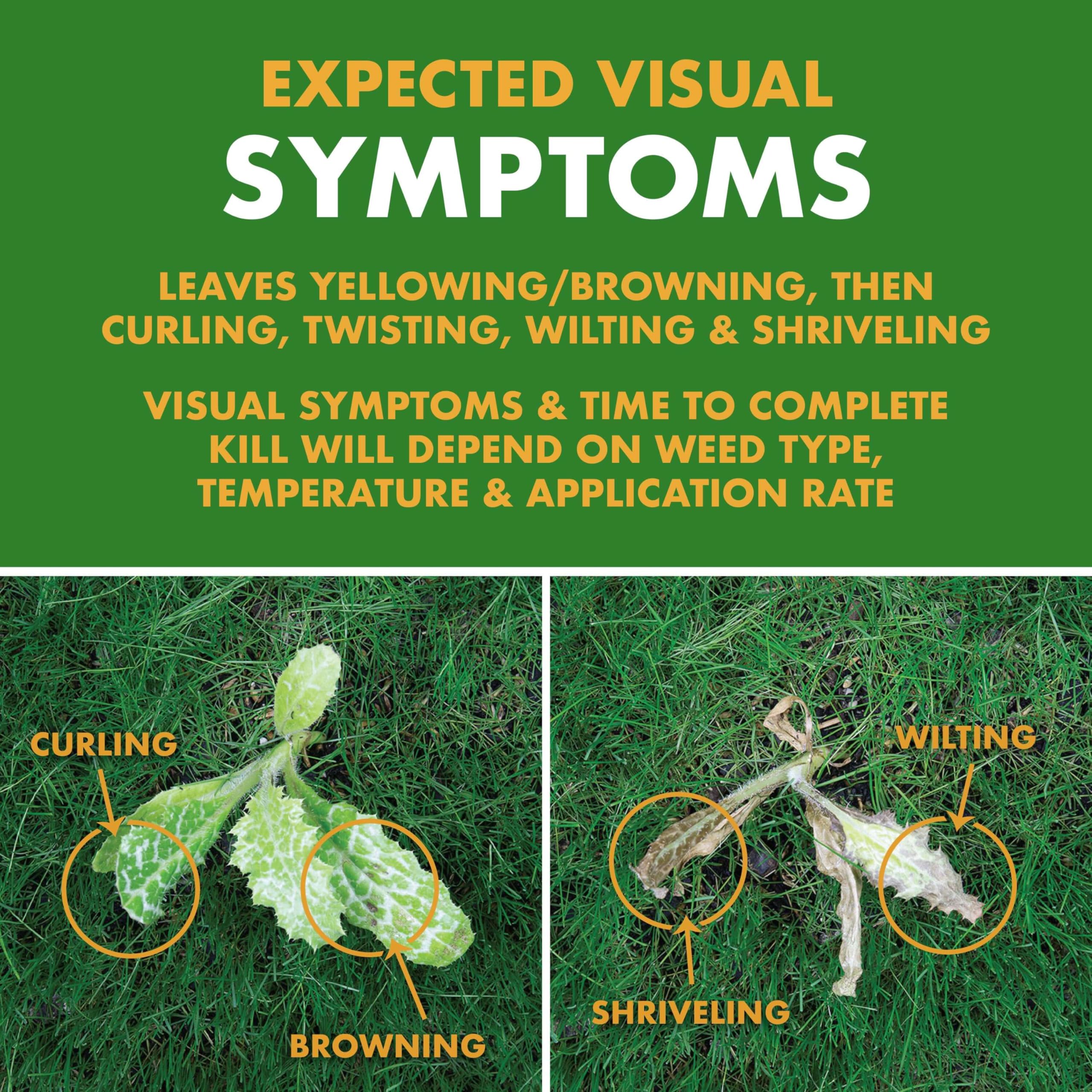 Spectracide Weed Stop guides application between 45–90 °F for best results.