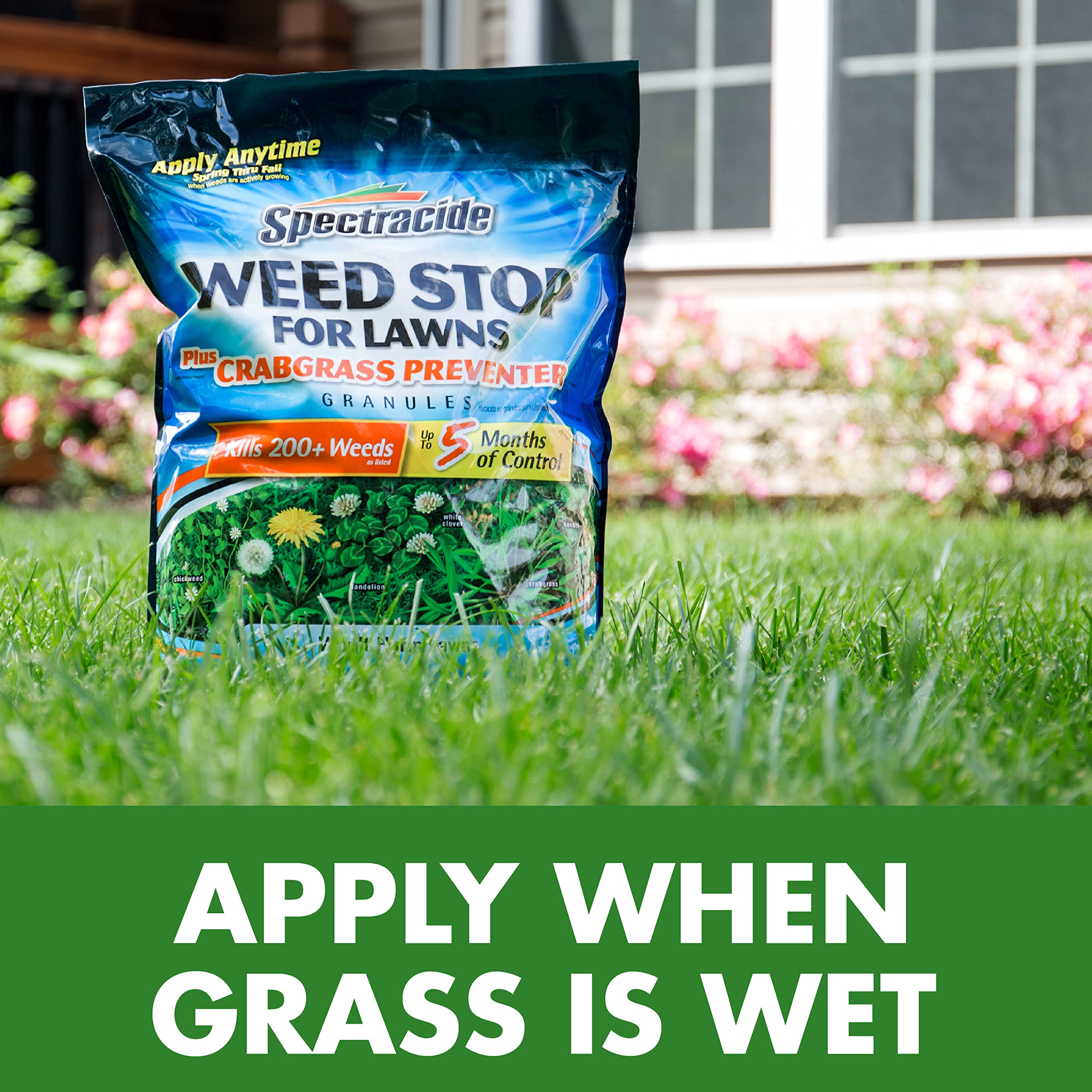 Healthy green turf after treatment with Spectracide Weed Stop showing fewer weeds.