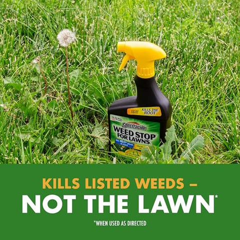 Spectracide Weed Stop for Lawns root-kill action helps prevent regrowth.