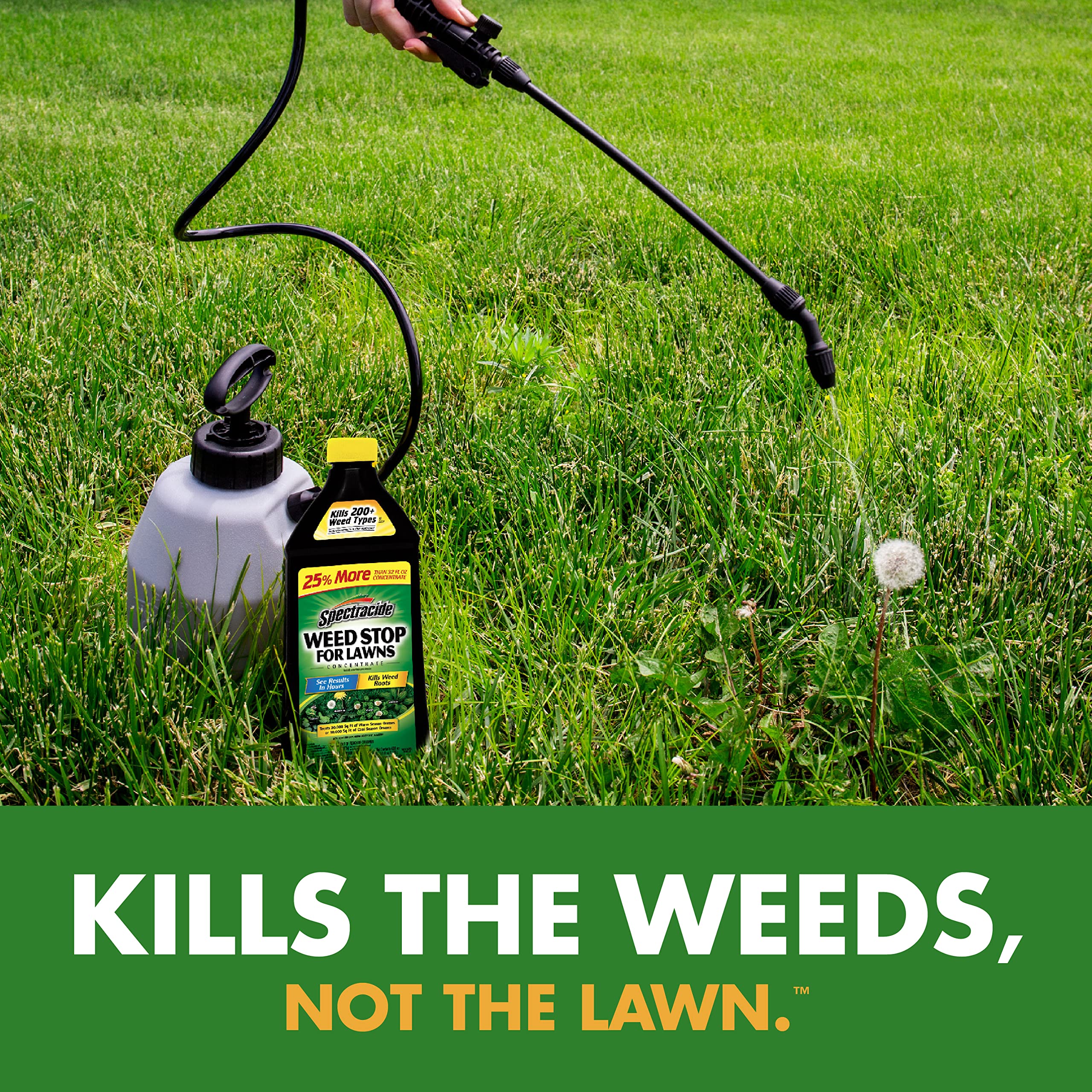Spectracide Weed Stop root-kill action targets weeds at the root.