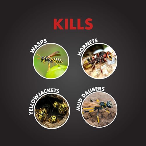SpectracidePRO Wasp & Hornet Killer outdoor application for safe exterior use.