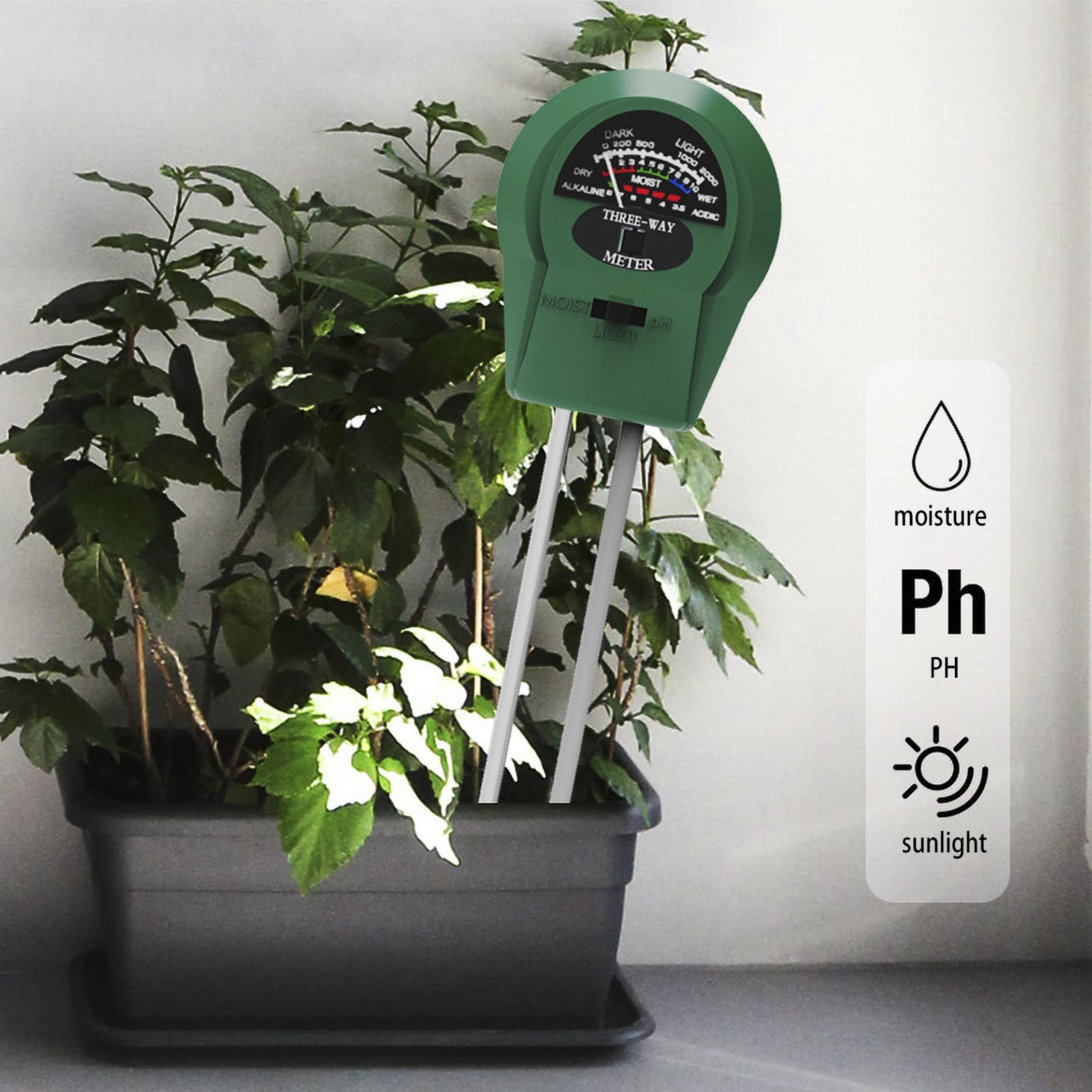 Speedinistic lawn sunlight level check for turf care.