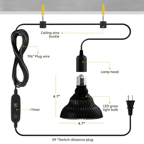 SpeePlant black pendant light design blends with modern indoor decor.
