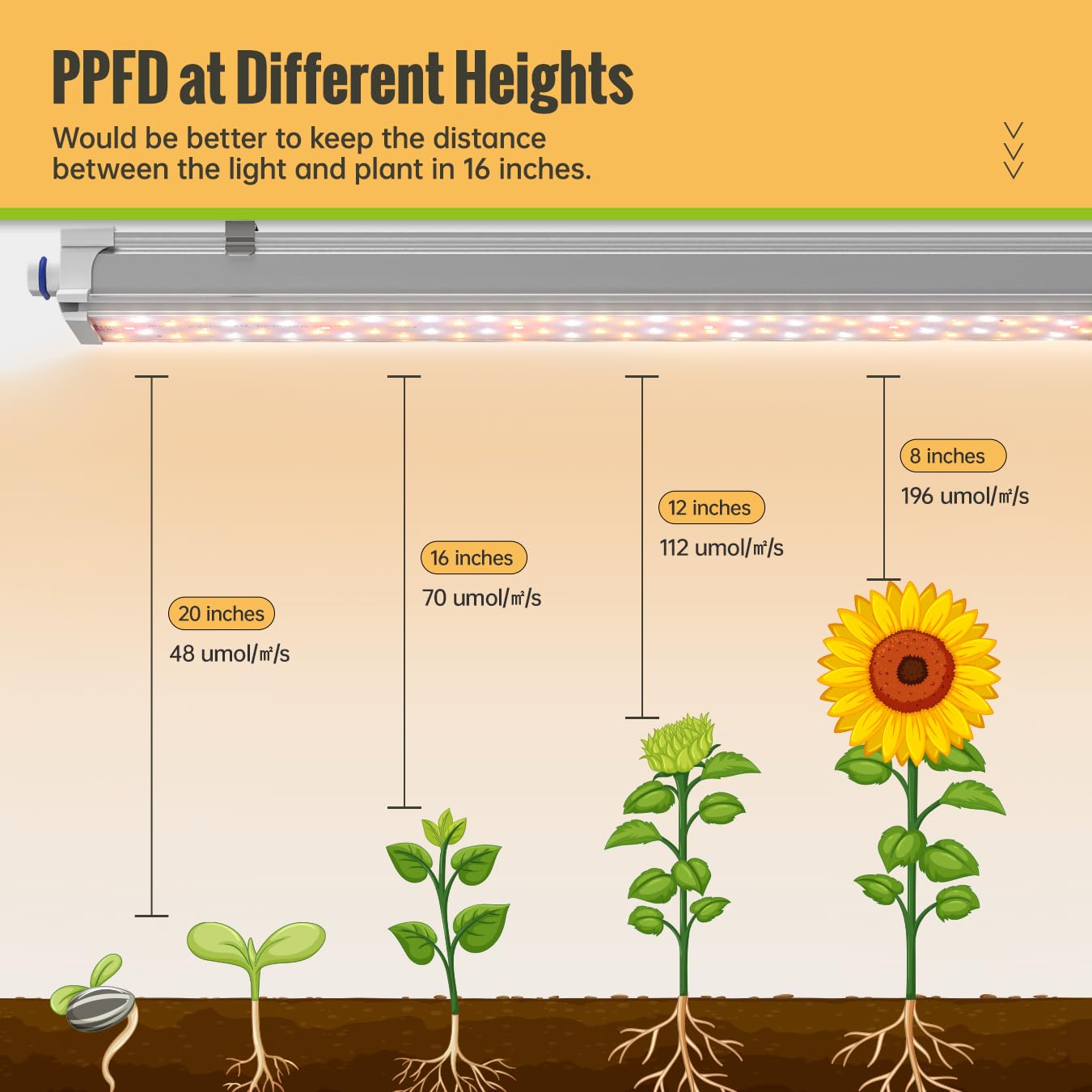 SpeePlant dual reflectors focusing light onto plants for higher efficiency