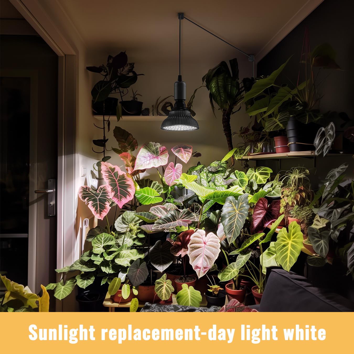 SpeePlant full-spectrum light (320-780nm) supports all growth stages for plants.
