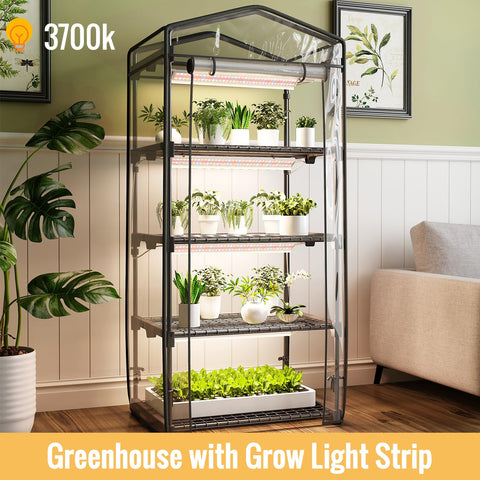 SpeePlant full-spectrum 20W grow lights offer consistent plant illumination
