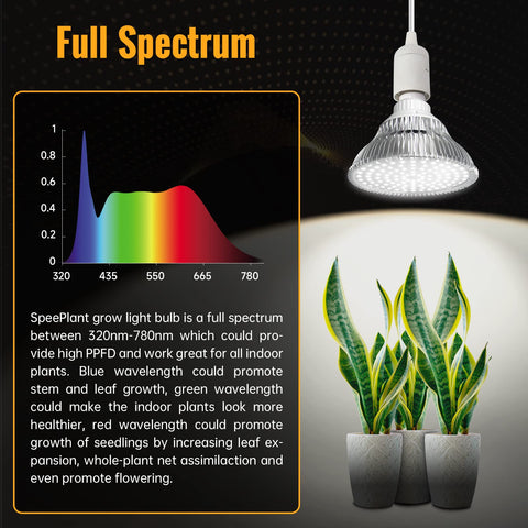 Greenhouse style space using SpeePlant for year-round growth