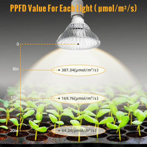 Indoor plant growth under SpeePlant light in a small home setup