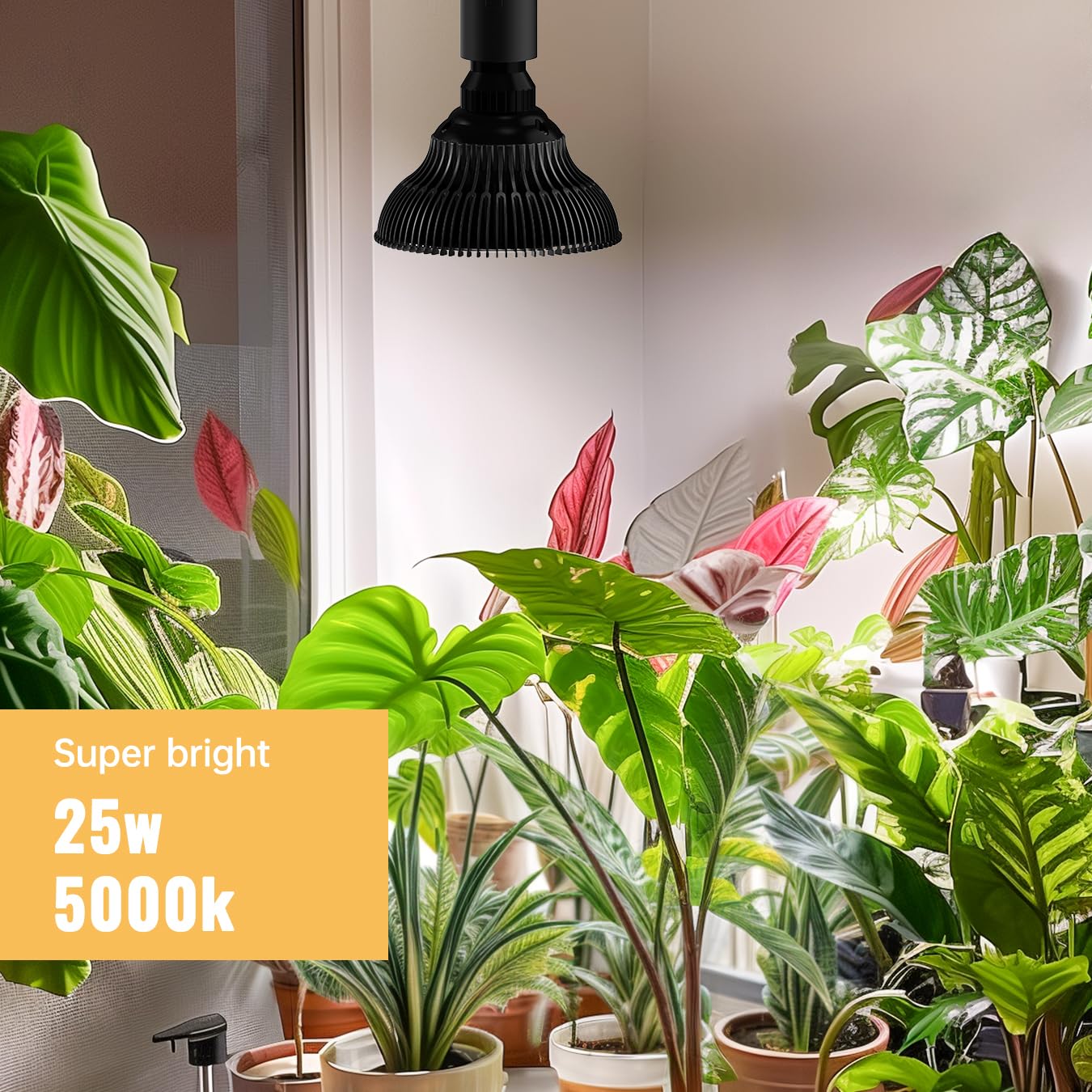 SpeePlant LED timer system enables automatic cycles for consistent plant lighting.